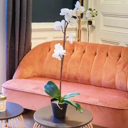 Le Gatsby 3 Etoiles Apartment